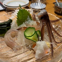 画像237