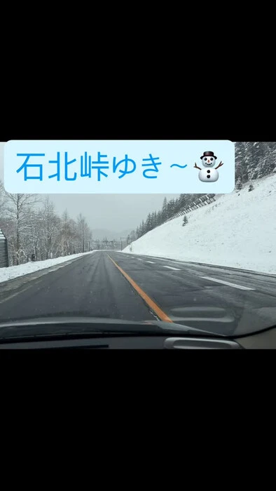 画像295